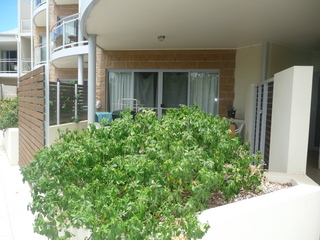 Front Courtyard (2011-01-27)