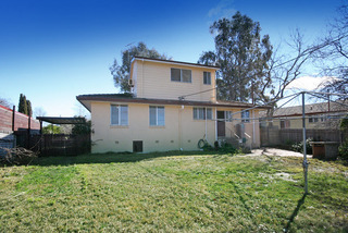 Rear (2008-10-20)