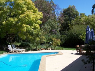 Garden (2006-03-24)
