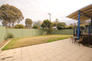 Backyard (2012-05-29)