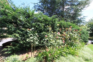 Garden (2014-02-03)