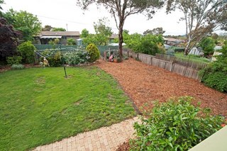 Backyard (2011-03-11)