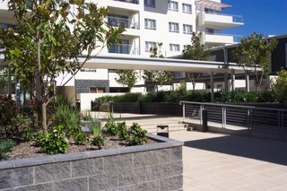 Main (2010-02-05)