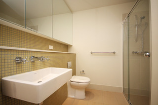 Bathroom (2010-01-06)