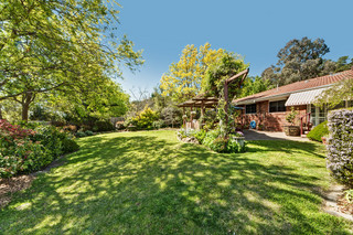 Rear yard (2011-10-13)