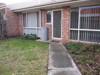 Rear Yard (2012-08-02)