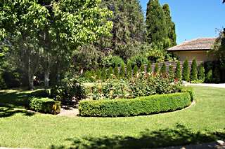 Garden (2005-12-20)
