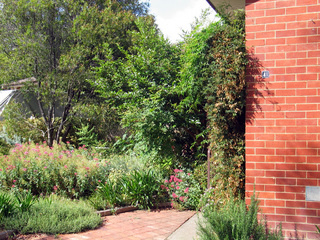 Frontyard (2004-12-15)