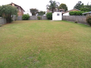 Backyard (2006-03-21)