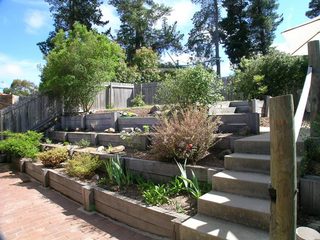 Garden (2003-11-21)