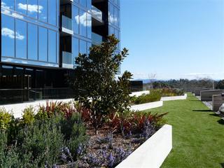 Courtyard (2010-10-22)
