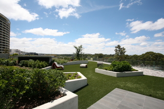 Garden (2011-02-16)