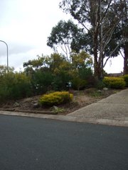 Front Garden (2011-07-26)