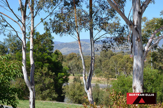 View (2013-12-03)