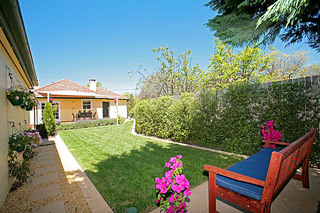 Rear Garden (2009-10-22)