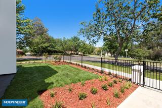 Garden (2015-11-27)