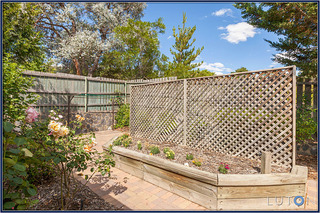 Rear courtyard (2014-01-08)