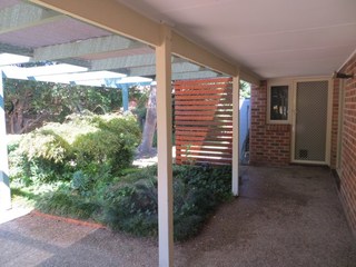 Backyard (2018-04-23)