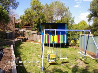 Backyard (2011-11-11)