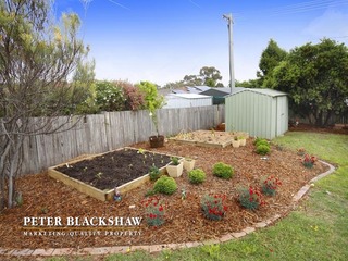 Vegetable gardens (2011-11-17)