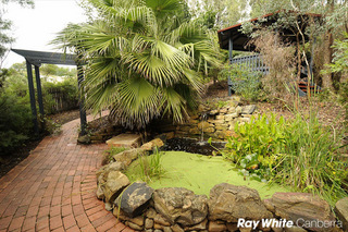 Garden (2011-03-17)