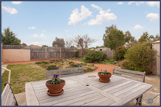 Rear Garden (2013-07-04)