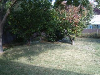 Backyard (2009-05-26)