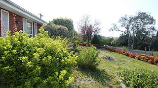 Front garden (2004-10-20)