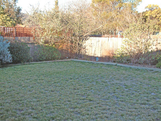 Backyard (2006-08-16)