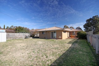 Backyard (2010-08-06)