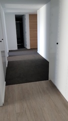 Standard Photo (2019-04-11)
