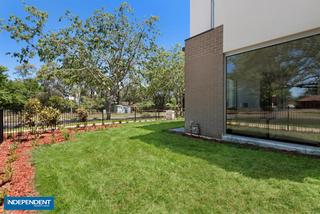 Garden (2015-11-27)