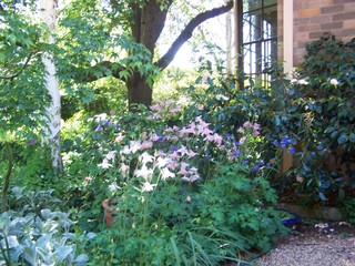 Courtyard (2011-07-01)