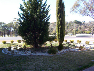 Front garden (2003-08-08)