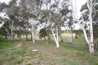 Creek reserve (2007-09-17)