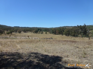 Standard Photo (2015-10-20)