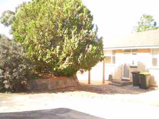 Paved Rear Area (2014-07-24)