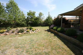 Backyard (2006-11-09)