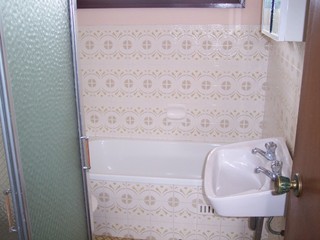 Bathroom (2008-02-11)