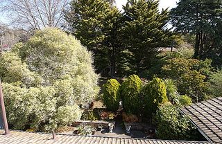 View from rooftop (2004-10-20)