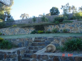 Backyard (2006-04-24)