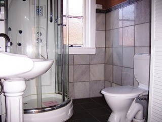Bathroom (2012-02-09)