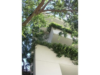 Tree-top Penthouse (2013-02-04)