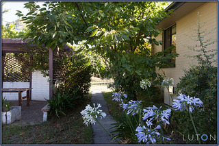 Backyard (2016-04-07)