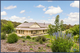 Garden (2015-02-04)
