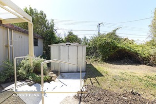 Backyard (2014-10-07)