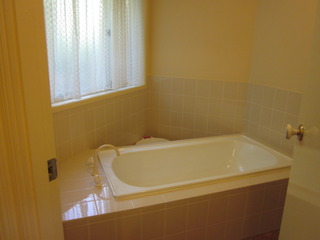 Bathroom (2012-04-20)
