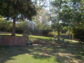Garden (2002-12-20)