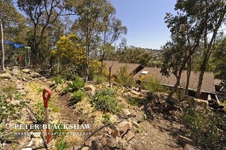 Garden/Veggie Patch (2012-10-04)