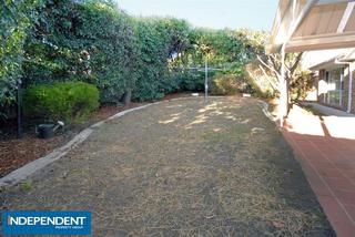 Back Garden (2011-06-01)